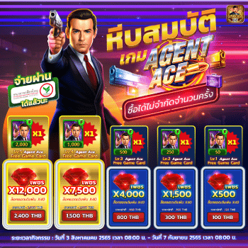 หีบสมบัติเกมagentace